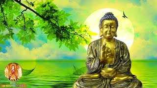 Vì Sao Người Ác Lại May Mắn Sống Lâu - Người Hiền Lành Lại Gặp Xui Xẻo - Rất Hay - #Mới Nhất