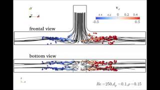 CFD simulation of unexpected trapping of particles at a T junction