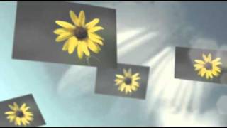 Dear Bereaved Heart - Comforting Words and Music for Those Grieving The Loss of a Loved One