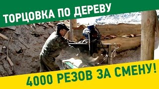Торцовка по дереву. Процесс работы на торцовке по дереву "Тайга".