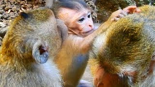 Bravo girl Maci grooming for mom Merry / Monkey Post