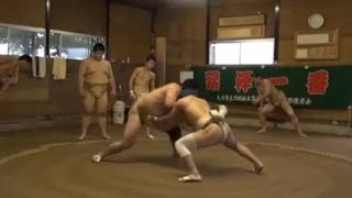 日田の相撲少年を支える　相撲部支援活動　大分県立日田林工高校