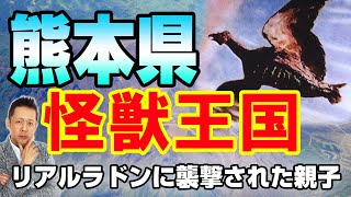 熊本は怪獣王国だ！リアルラドンに襲撃された親子　ATL3rd _53