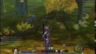 Aion Legend. Аион. Класс Воин. Гладиатор. Мои впечатления от игры этим персонажем.