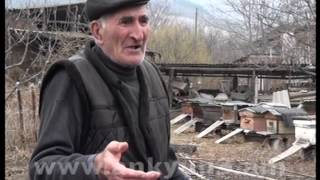 Ծառ էտելու մի քանի կանոններ՝ Ֆրունզիկ պապից