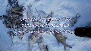просто с удочкой на водоем  выпуск №2 - 02-04 декабря 2016г. напротив д. Холмец