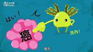 關於褐藻醣膠的二三事 （上）