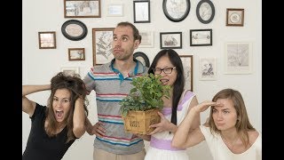 Как работает RealChinaTea.ru? Жизнь проекта изнутри