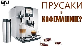 Тараканы,  прусаки в кофемашине???