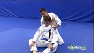Beginning Brazilian Jiu Jitsu - Rear Naked Choke