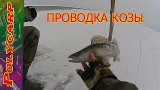 НОВИНКА!!!ЛОВЛЯ СУДАКА ЗИМОЙ  НА КОЗУ\\УБОЙНАЯ СНАСТЬ