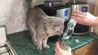 KRUPS пью с Французом!