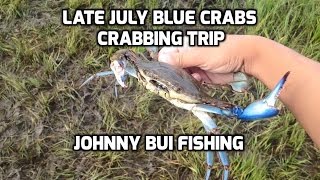 Late July Crabbing In New Jersey 2016