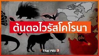 เจาะต้นตอไวรัสโคโรนาสายพันธุ์ใหม่ระบาด บทเรียนมนุษย์บริโภคสัตว์ป่า (25 ม.ค. 63)