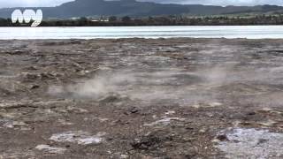 Sulphur Bay, Rotorua