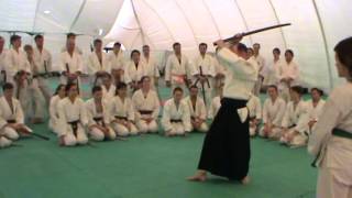 Aikido Yoshinkan, Jacques Payet, bokken shomen and yokomen uchi