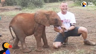 Baby Elephant ATTACKS Man | The Dodo
