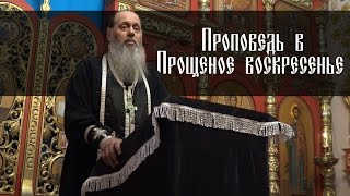 Протоиерей Владимир Головин. Проповедь в Прощёное воскресенье (2017 г.)