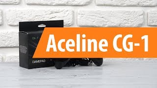 Распаковка Aceline CG-1 / Unboxing Aceline CG-1