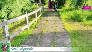 Gudavi bird sanctuary (sorab Karnataka)