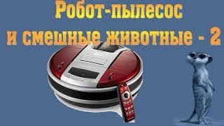 Робот-пылесос и смешные кошки