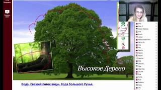 Секреты Най Инь. Глубокий анализ Судьбы человека/ Судьба и характер человека по дате рождения.