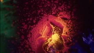 Psychedelic Trippy Liquid Light Show