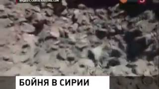 Горячие новости.Массовая казнь в Сирии Среди жертв бесчеловечного преступления - дети (18+)