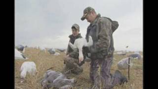 Snow goose hunting in Manitoba