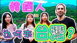 韓國人喜歡台灣的原因是...??⁉️「TALK+VLOG」 The reason why Korean like Taiwan so much