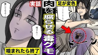 【実話】ひと噛みで人間の肉を腐らせる恐怖の毒グモに噛まれた男の壮絶体験とは？皮膚を壊死させる毒グモが怖過ぎる・・・（マンガ動画）