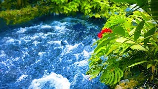 Sleep, Study or Focus with Water Sounds White Noise | Relaxing River 10 Hours