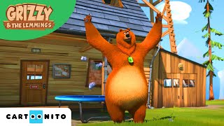 Гриззи и лемминги | Прыгающий медведь | Boomerang