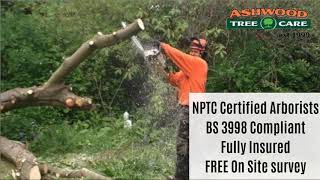 Ashwood Tree Care/Ashwood tree care Ruislip