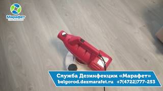 Травля блох в Белгороде - ДезСлужба Марафет