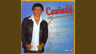 O Carpinteiro
