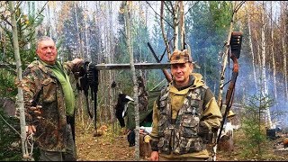 Охота с русскими гончими на зайца беляка.