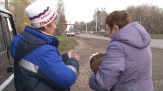 В пригородах Кирова началась вакцинация от бешенства
