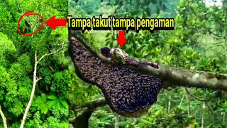 NGERI..!! BEGINI CARA MEMANEN MADU LEBAH LIAR HUTAN | HONEY BEE THE FOREST