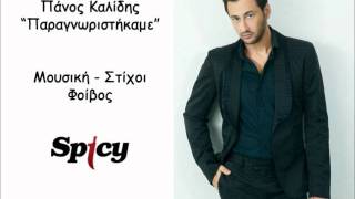 Πάνος Καλίδης - Παραγνωριστήκαμε | Panos kalidis - Paragnoristikame - Official Song Release  (HQ)