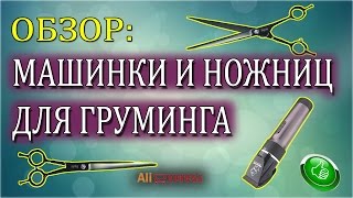 МАШИНКА И НОЖНИЦЫ ДЛЯ СТРИЖКИ/ГРУМИНГА СОБАК С ALIEXPRESS/ОБЗОР/ТЕСТ/СТРИЖКА ЙОРКА