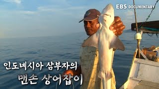 인도네시아 삼부자의 '상어 잡이'