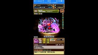 パズドラレアガチャ縛り一年のbox紹介