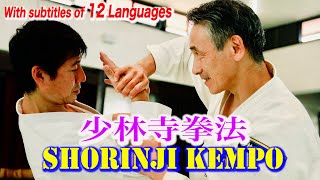 少林寺拳法の凄さを堪能できる映像【大いなる遺産２検証企画】 Report ! Verification of Shorinji Kempo