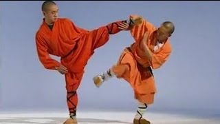 Shaolin Kung Fu fighting: 18 techniques