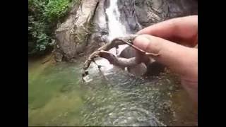 Khao Lak Safari