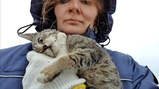 Лютокошечка ищет себе новый аэродром