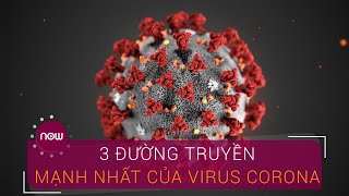 3 đường lây truyền mạnh nhất của virus Corona | VTC Now