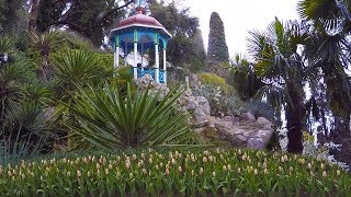 Никитский ботанический сад. Ялта. Совсем скоро парад тюльпанов! Крым 2019