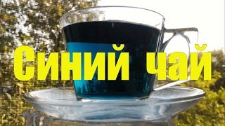 Синий чай из Тайланда. Butterfly Pea Tea